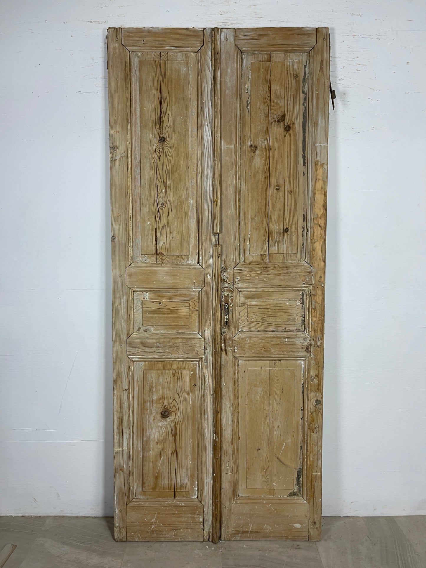 Antique French panel Doors (95.5 x 40) O170