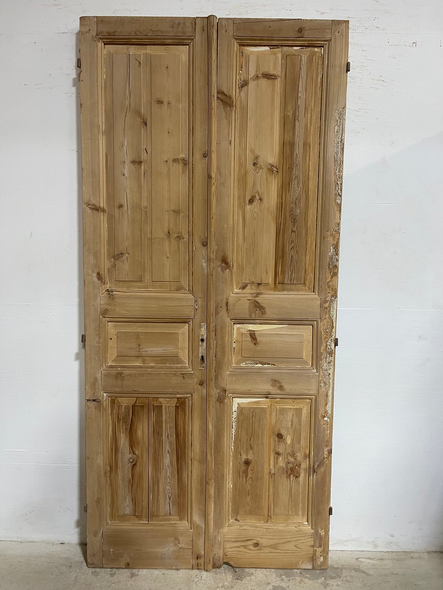 Antique French Panel Doors (98.25x44.25) J670