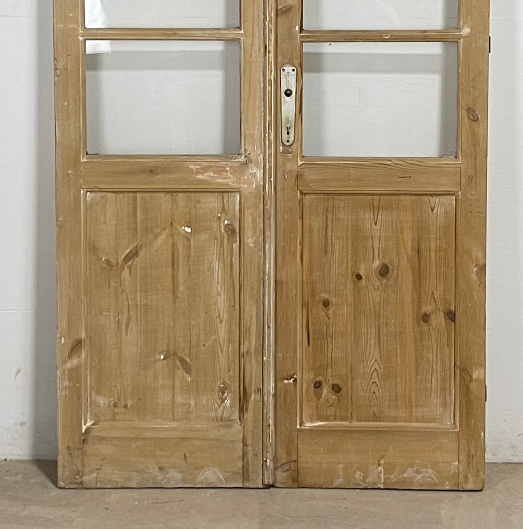 Antique French panel doors with Glass (87.5x43.5) P164