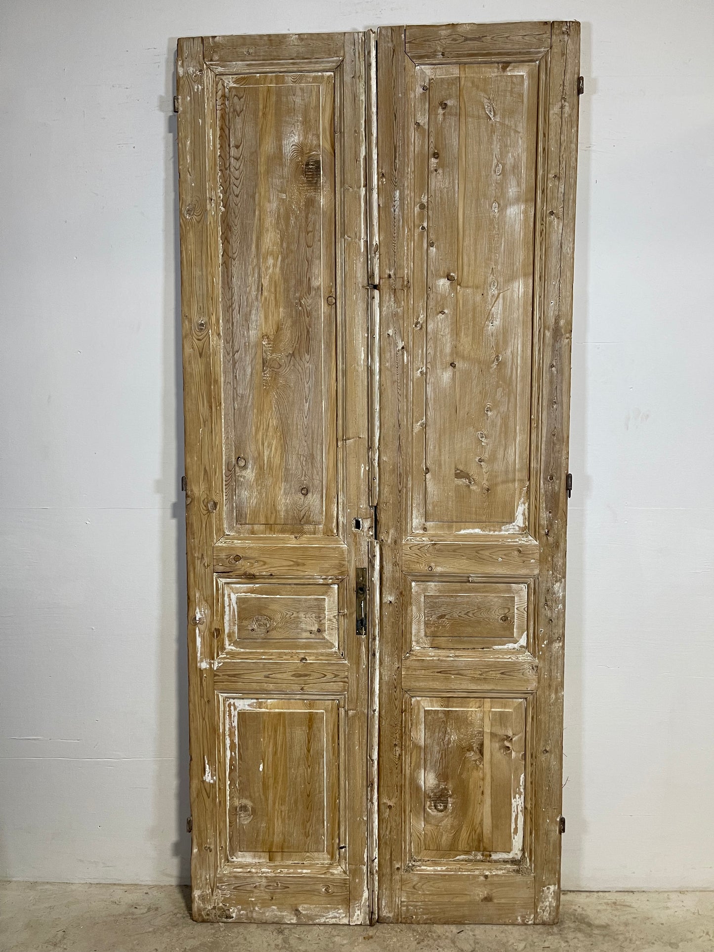 Antique French panel Doors (100.5x43) L299