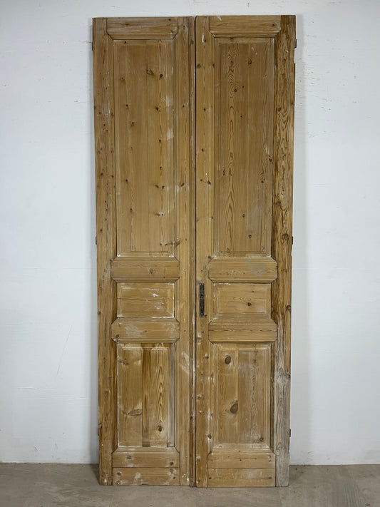 Antique French panel Doors (101.5x41.75) O154