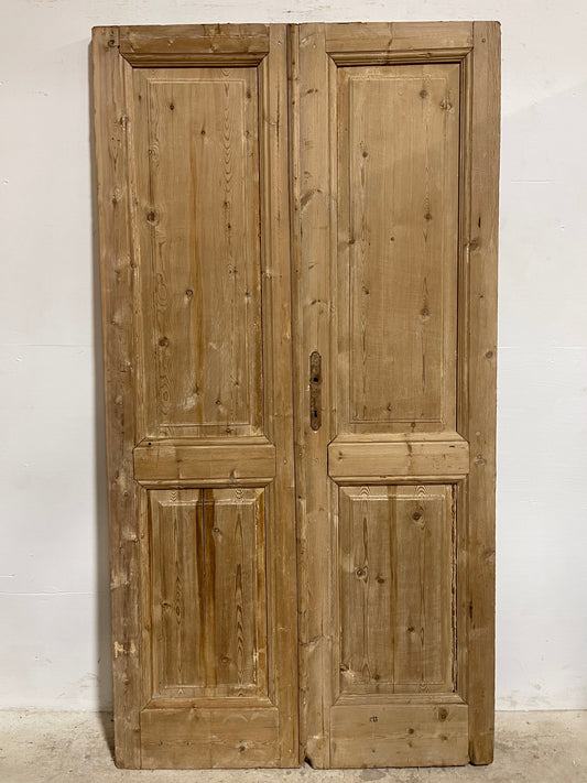 Antique French panel Doors (83.25x44) J633