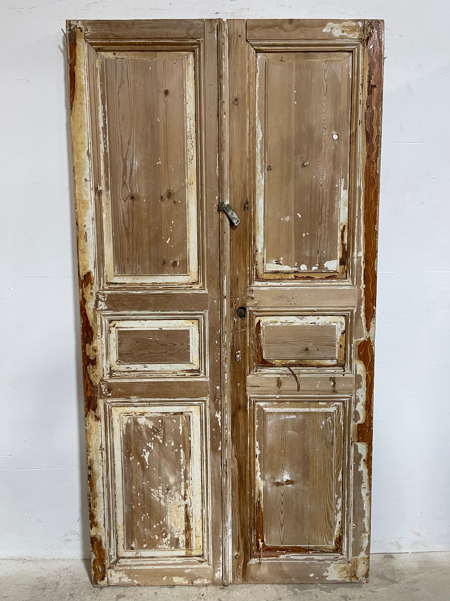 Antique French panel Doors (83.5x43.5) J641