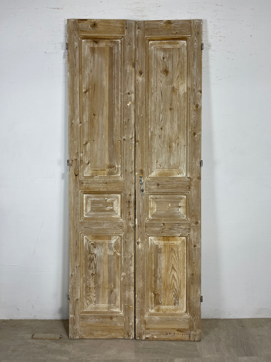 Antique French panel Doors (93.5 x 39.5) O144