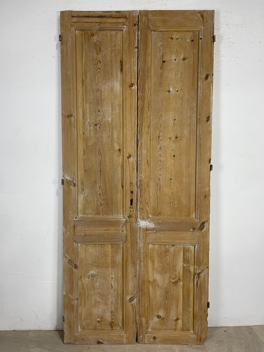 Antique French panel Doors (97x43.5) O194