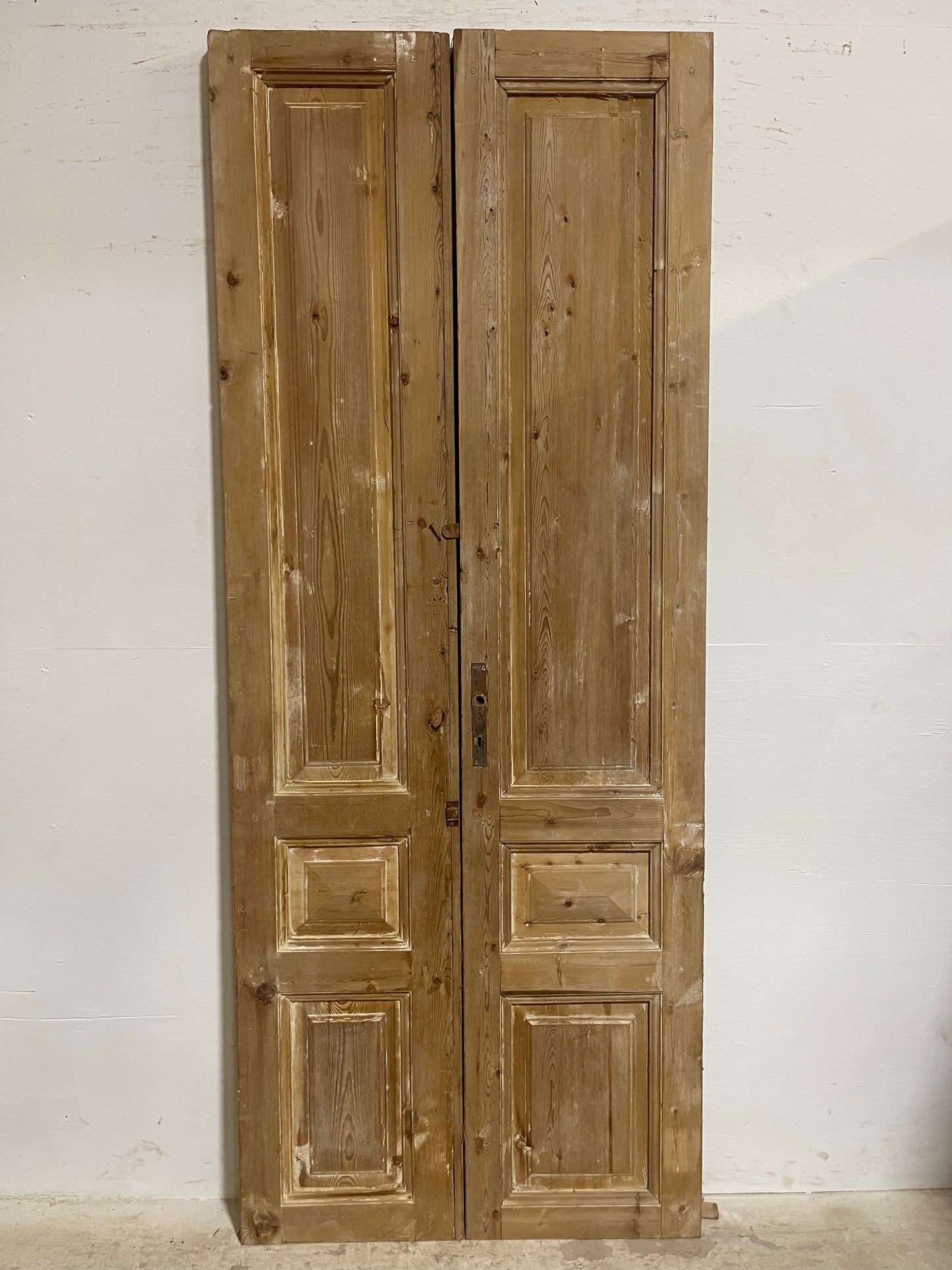 Antique French panel Doors (94.50 x 37.5) J608