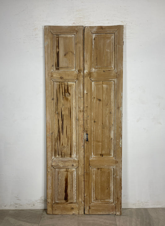 Antique French panel Doors (93 x 37.75) N146
