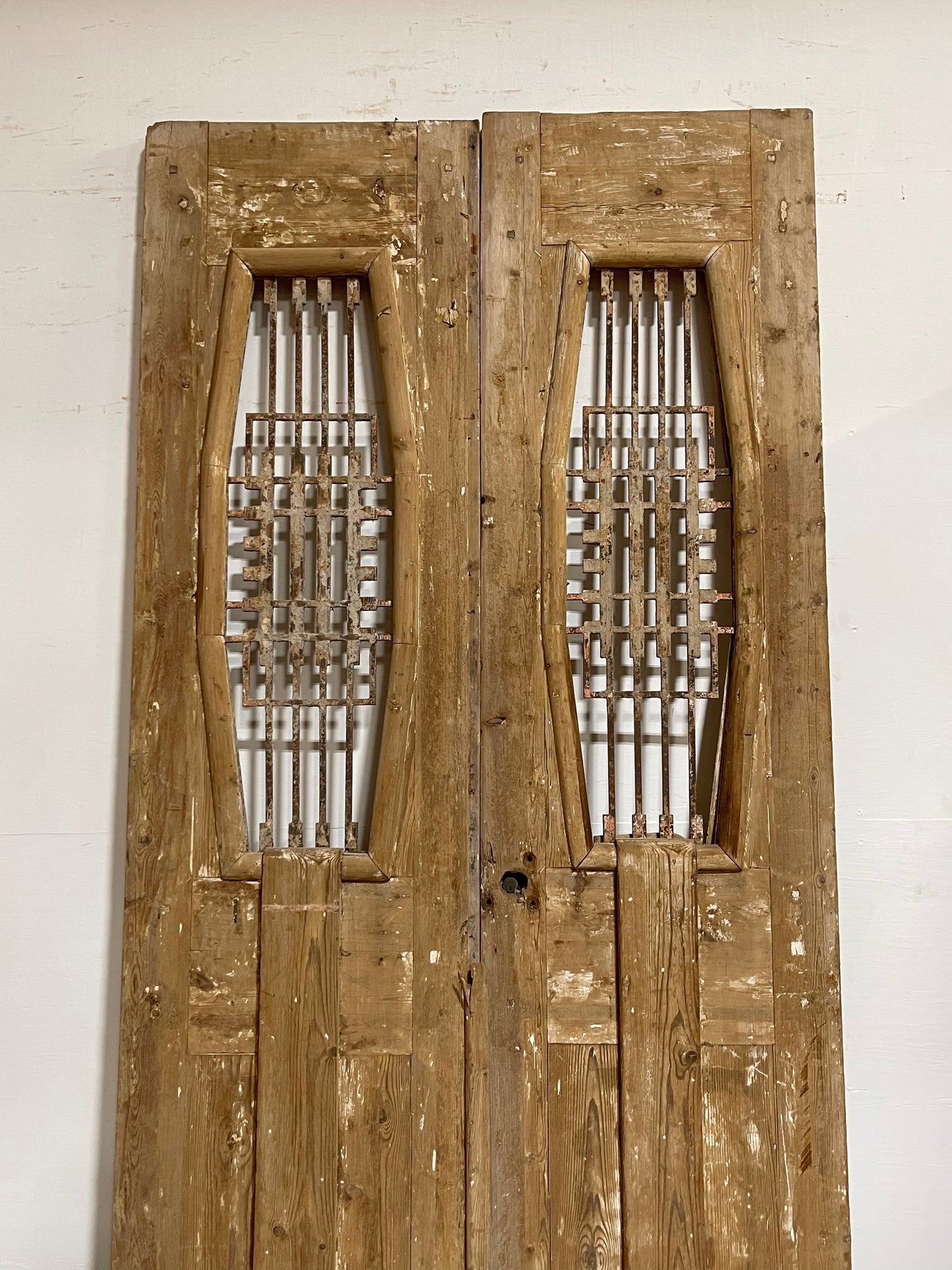 Antique Panel Doors with Metal (100x48.75) J115