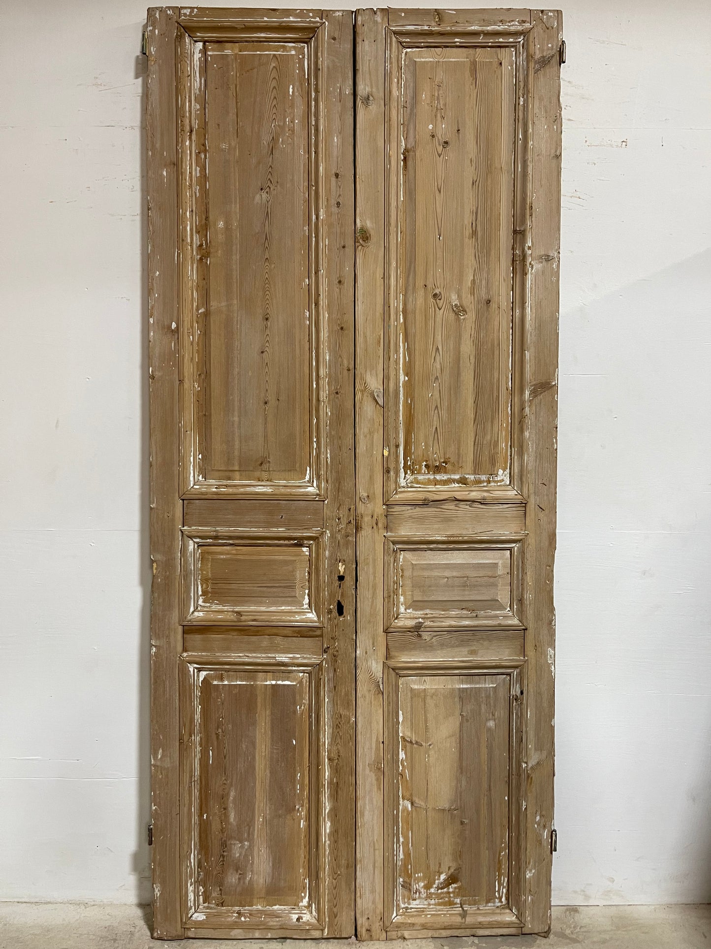 Antique French panel Doors (108x47.5) J642