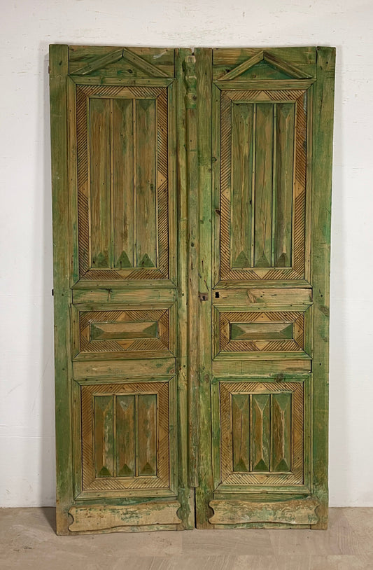 Antique French panel doors with Carvings (98 x 56) P41