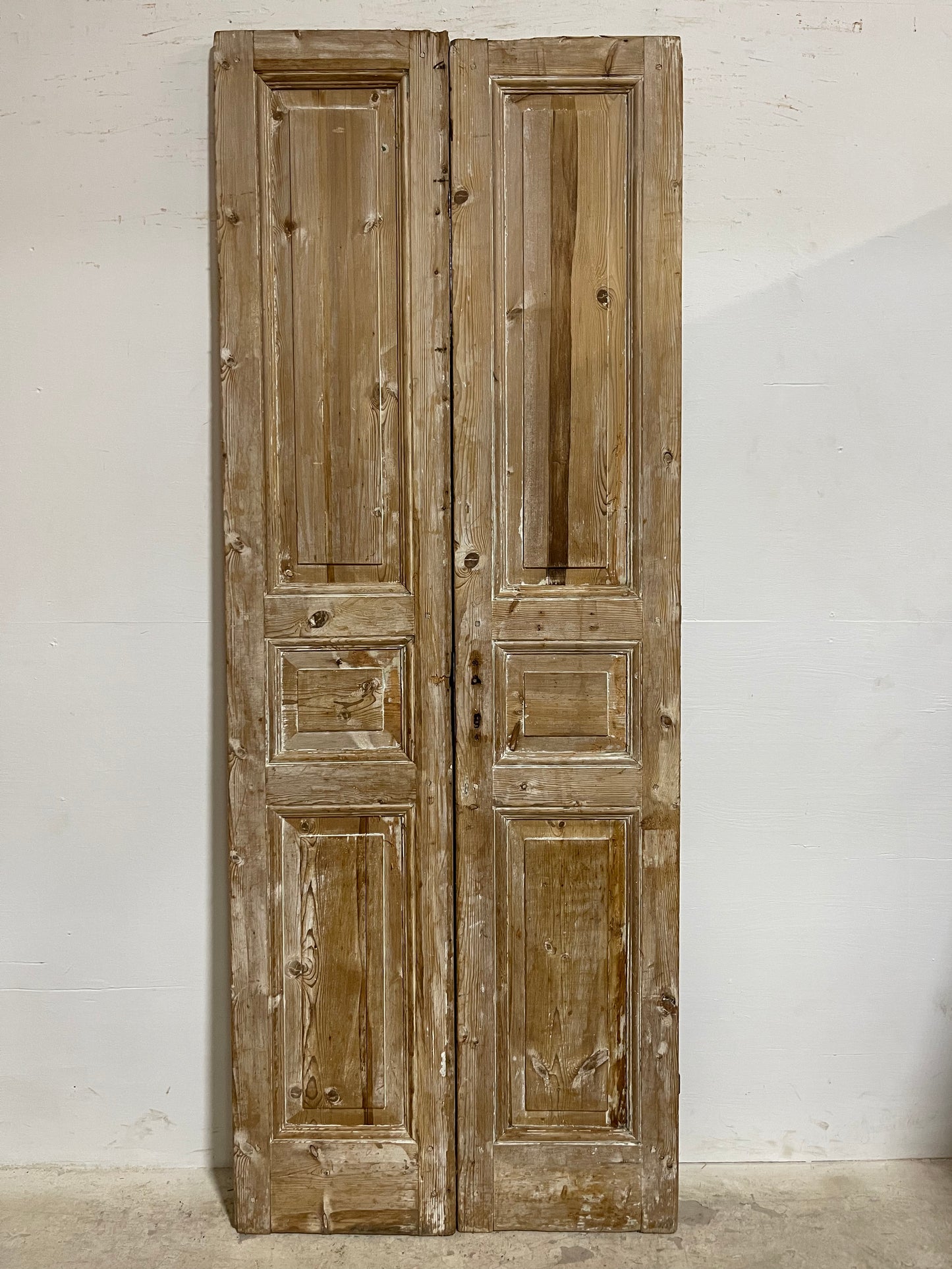 Antique French panel Doors (92.5x35.25) J610