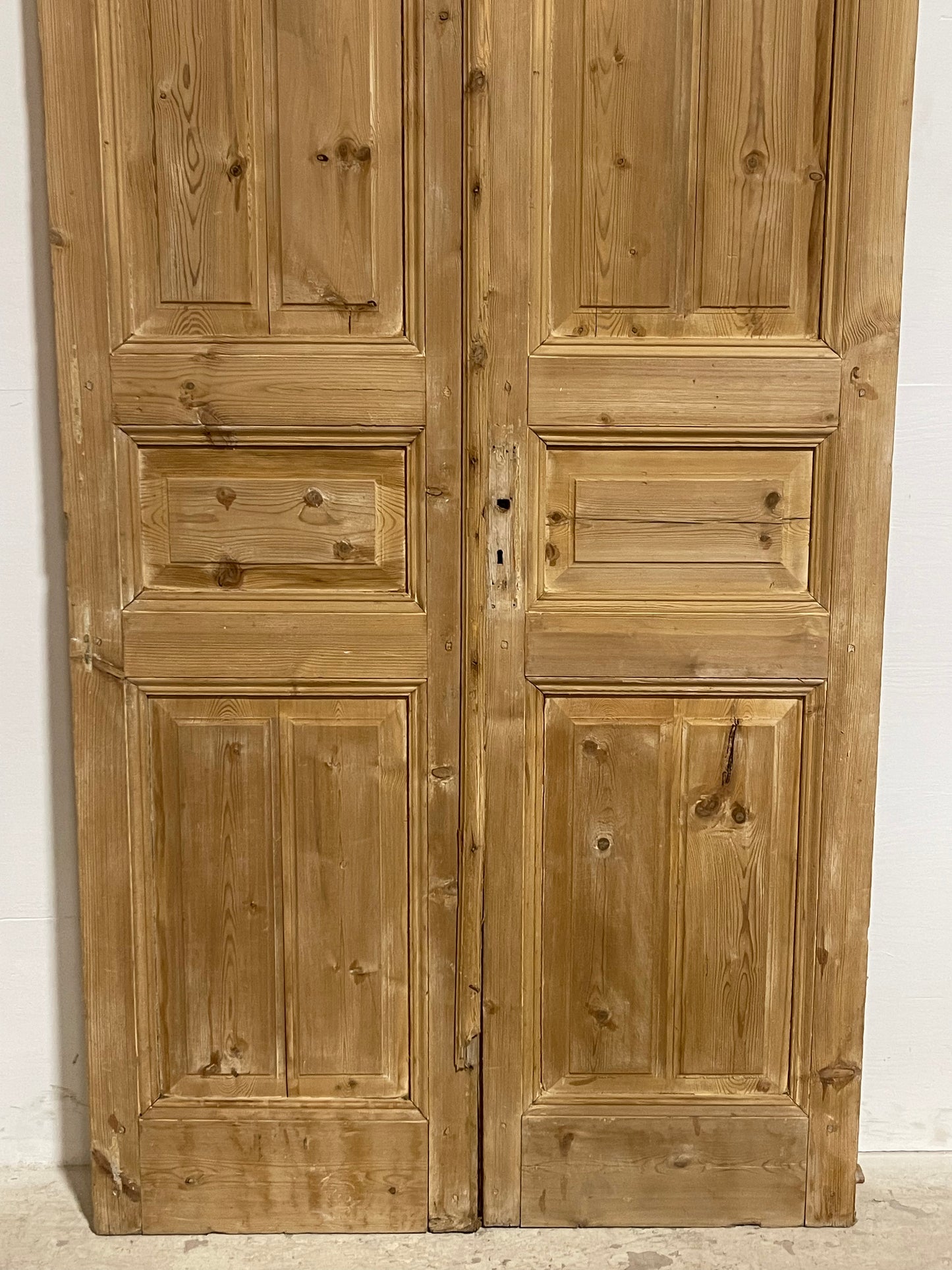 Antique French panel Doors (96.75x44.25) J606