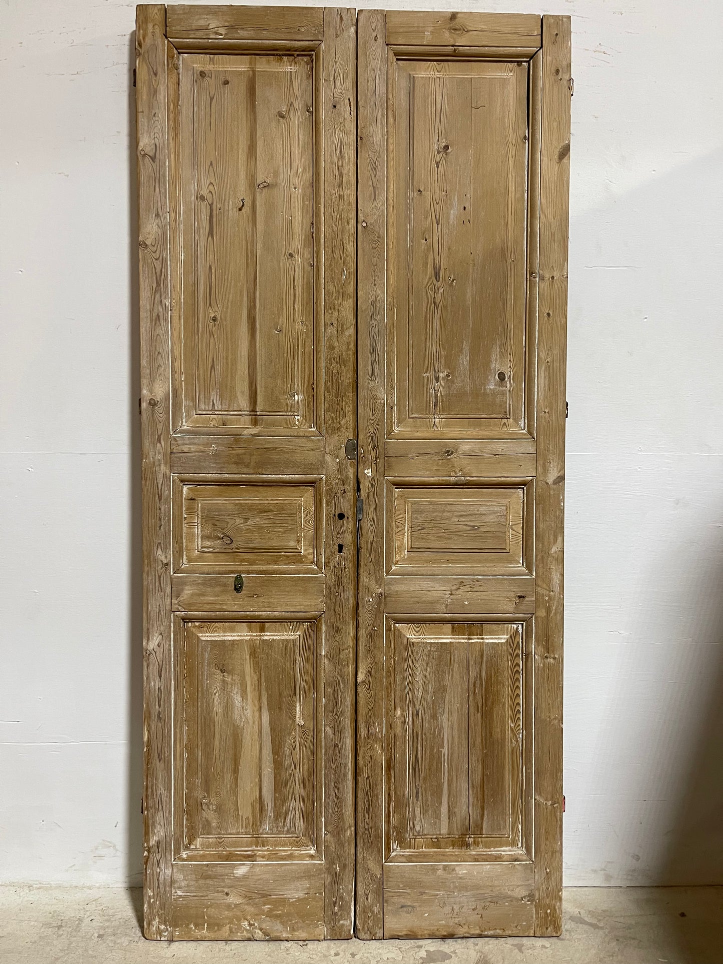 Antique French panel Doors (90.75x41.75) J627