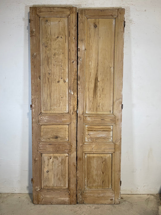 Antique French panel Doors (93.5x43.5) K706