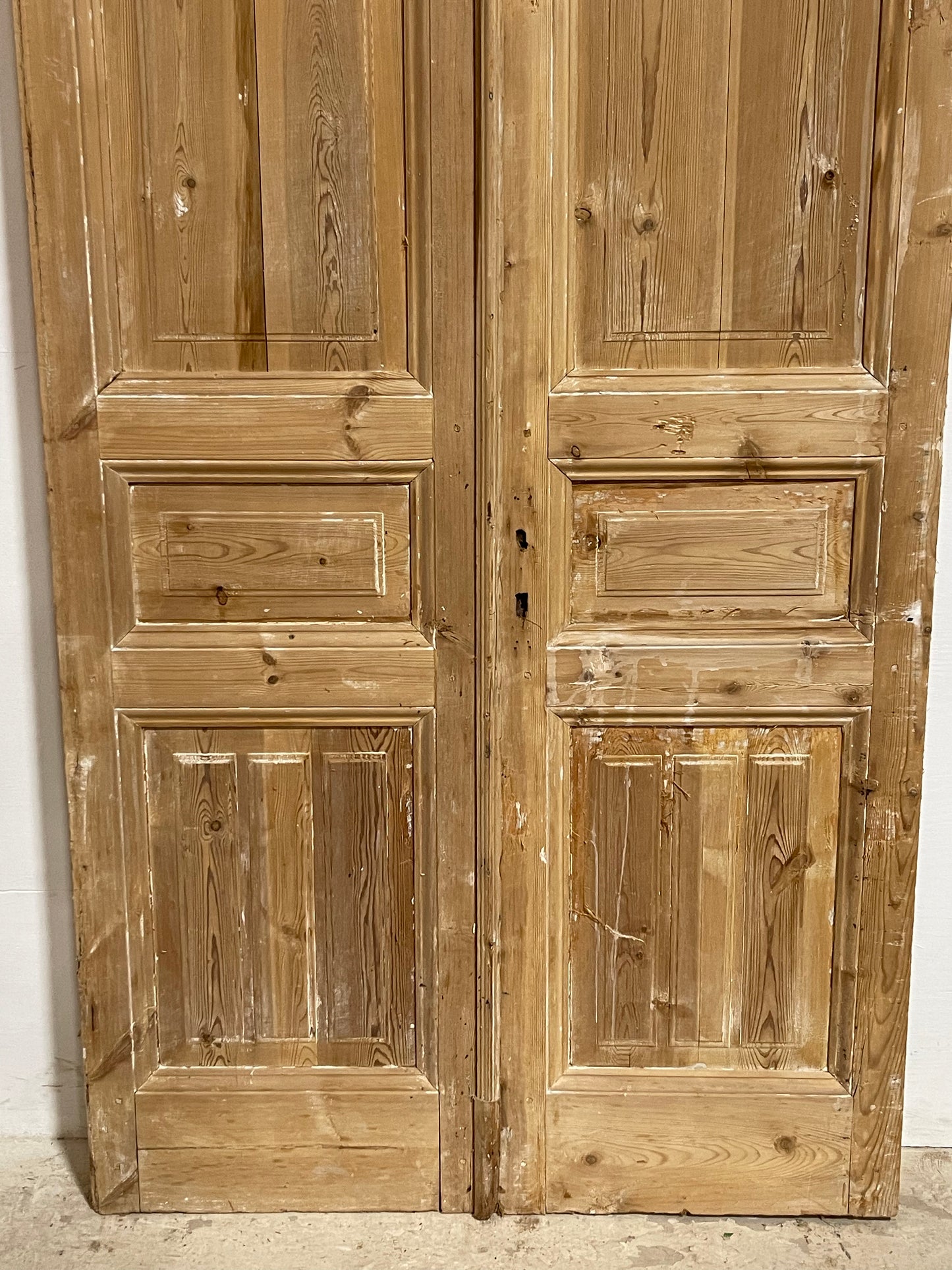 Antique French panel Doors (103.25x45.5) J644