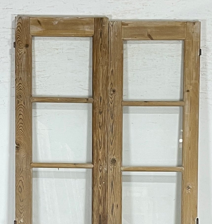 Antique French panel doors with Glass (100x43.5) P177