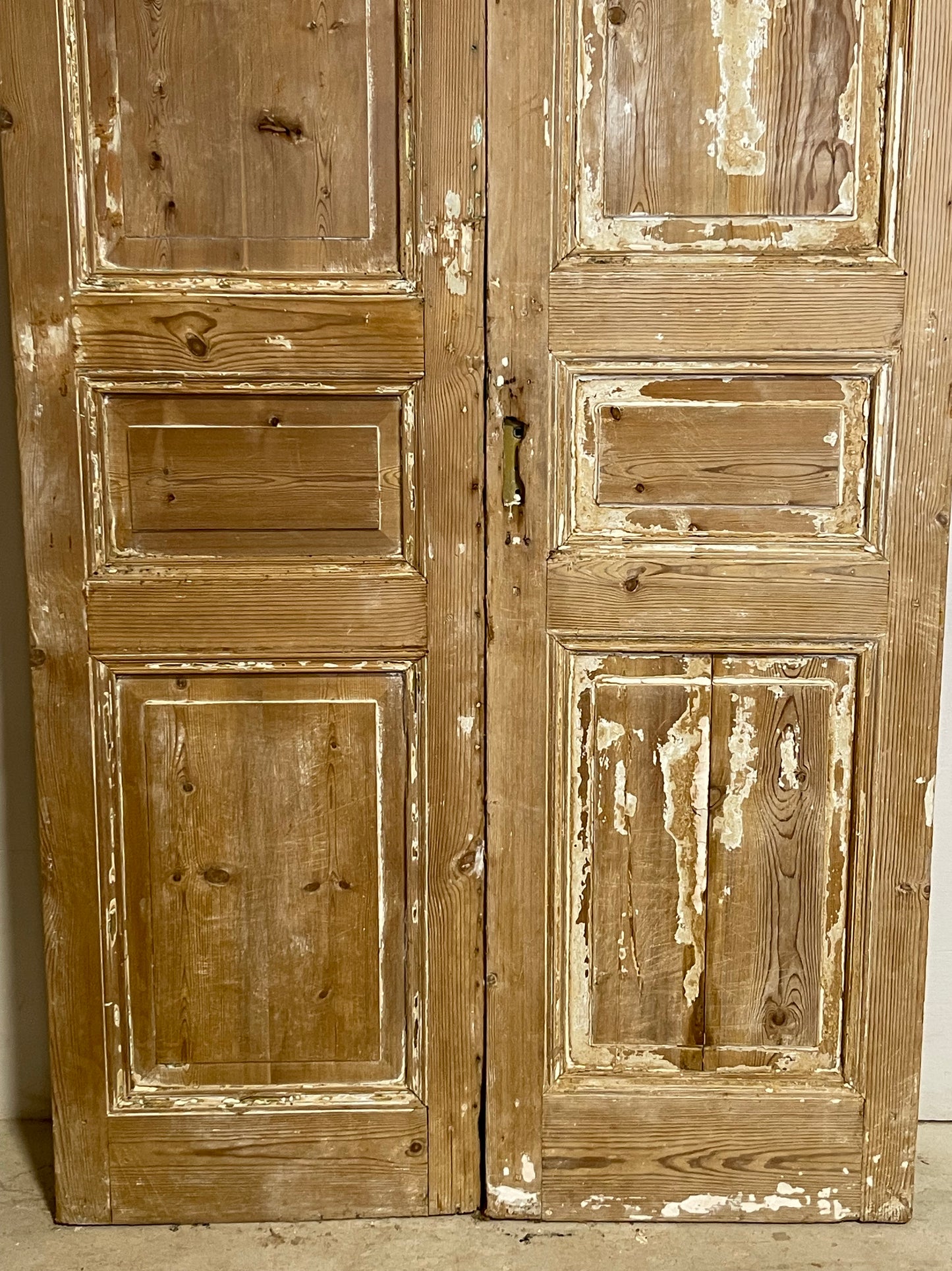 Antique French panel Doors (97.25x44.5) L264