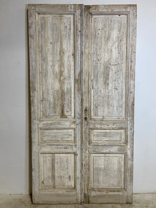 Antique French panel Doors (94.25x49) L277