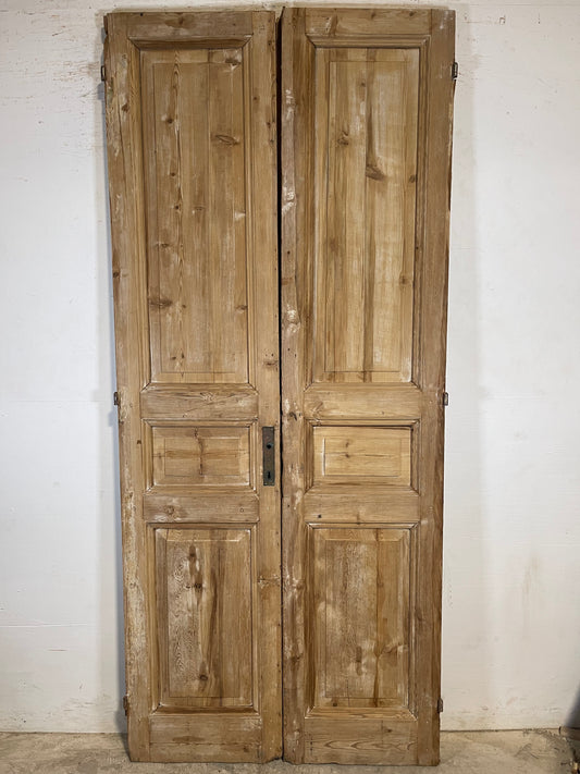 Antique French panel Doors (94.75x41.5) K724