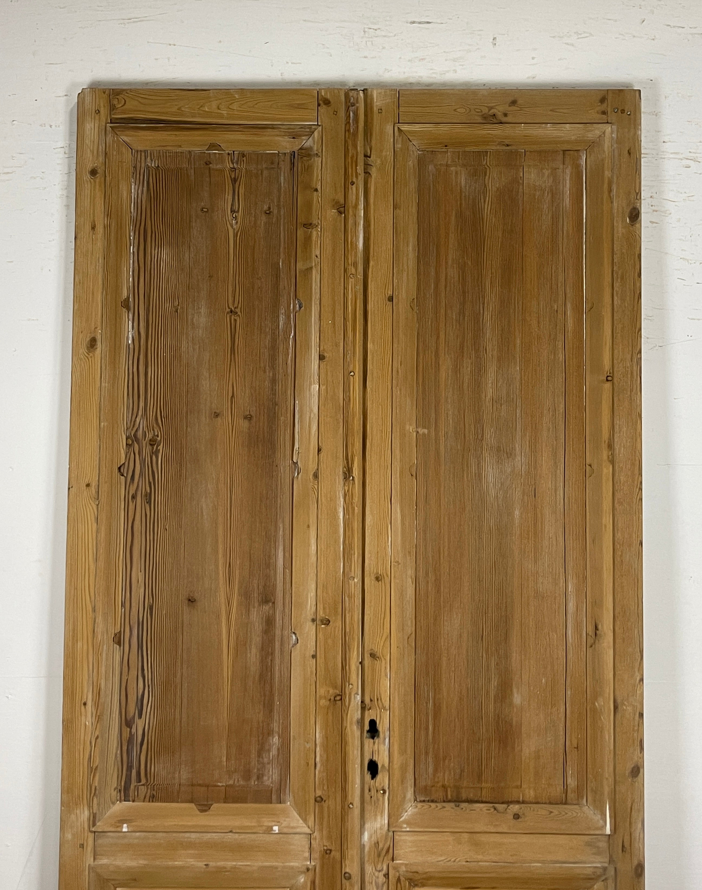 Antique French panel doors with Carvings (100 x 49.5) P55