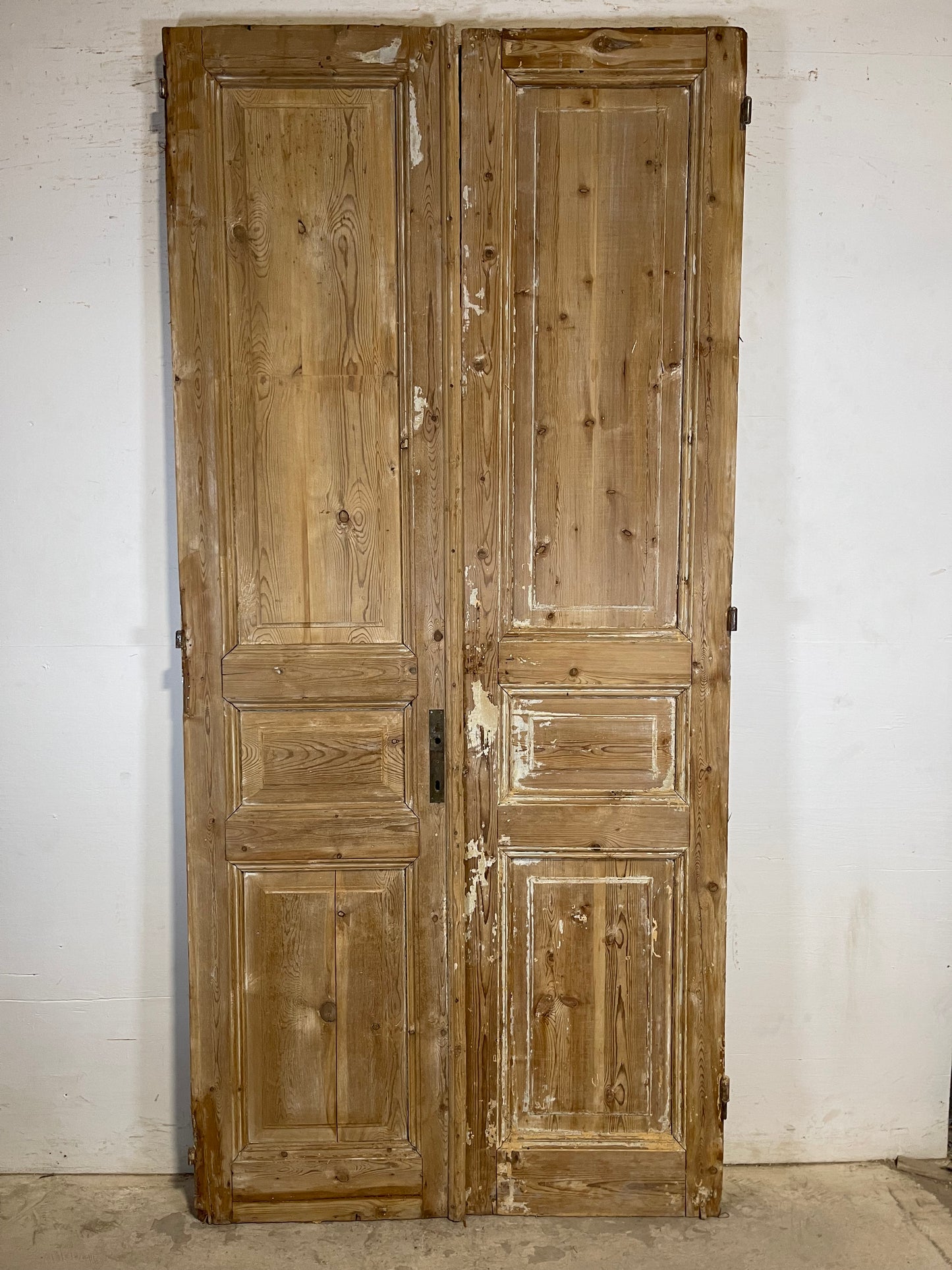 Antique French panel Doors (96.5x44.5) K734