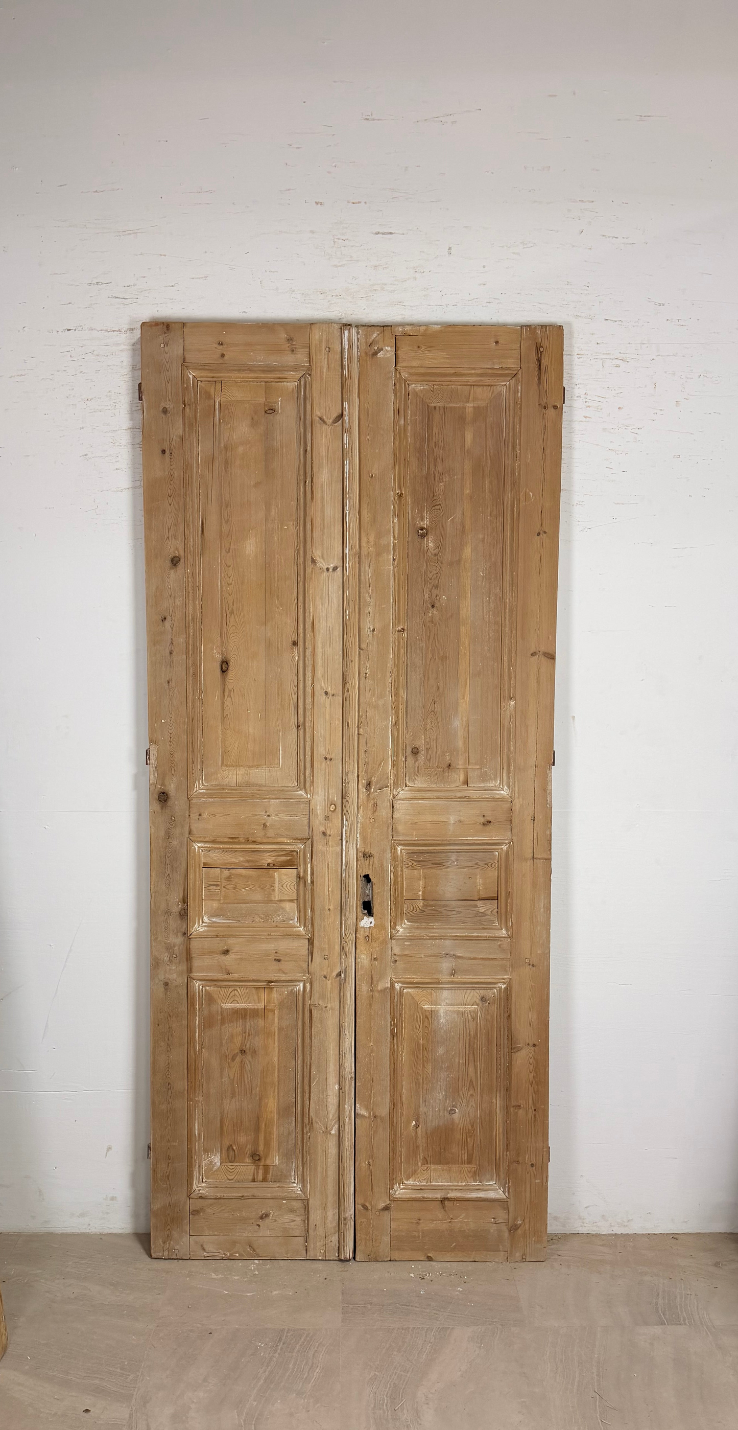 Antique French panel Doors (97.5x42) P221