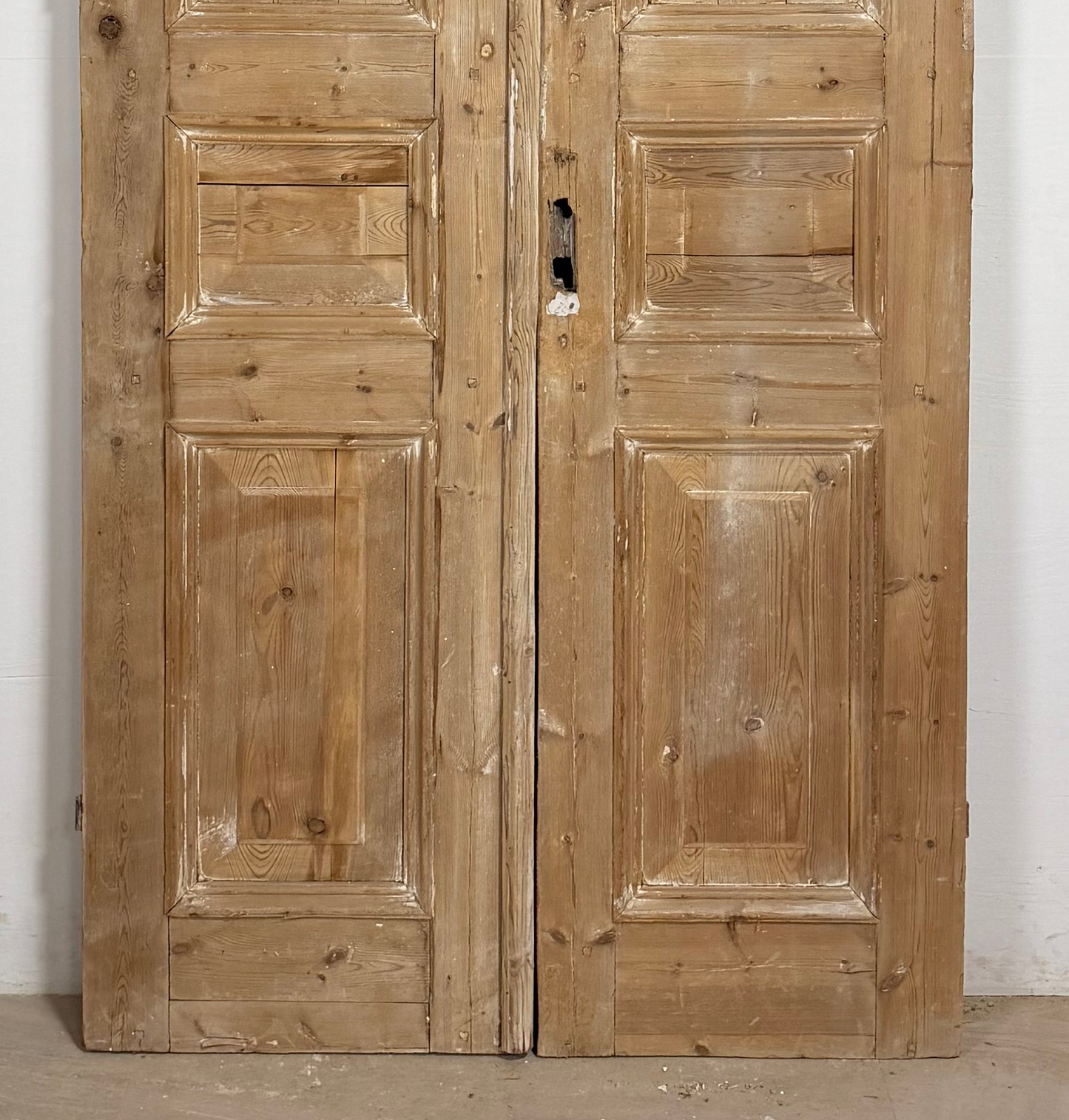 Antique French panel Doors (97.5x42) P221