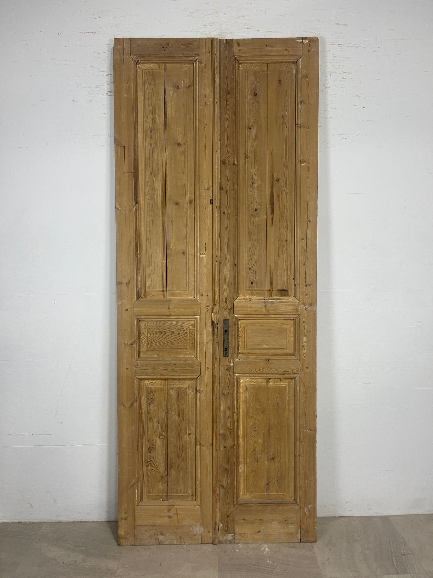 Antique French panel Doors (95x38) O184