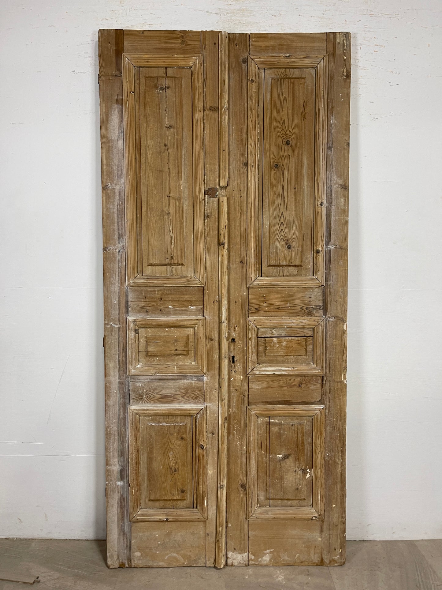 Antique French panel Doors (91x41) O187
