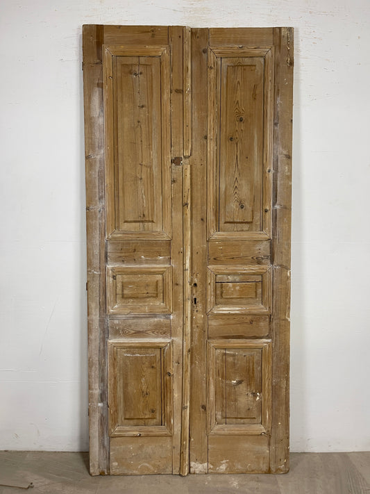 Antique French panel Doors (91x41) O187