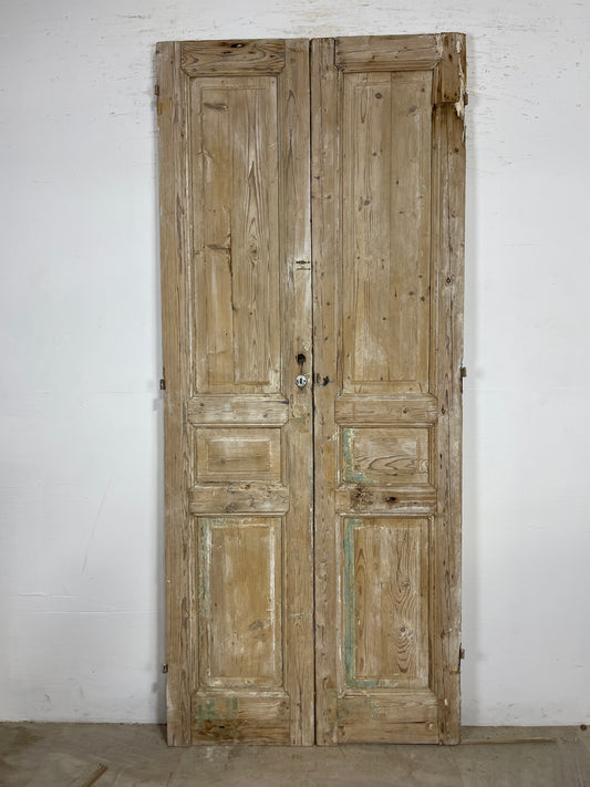 Antique French panel Doors (93x39.5) O217