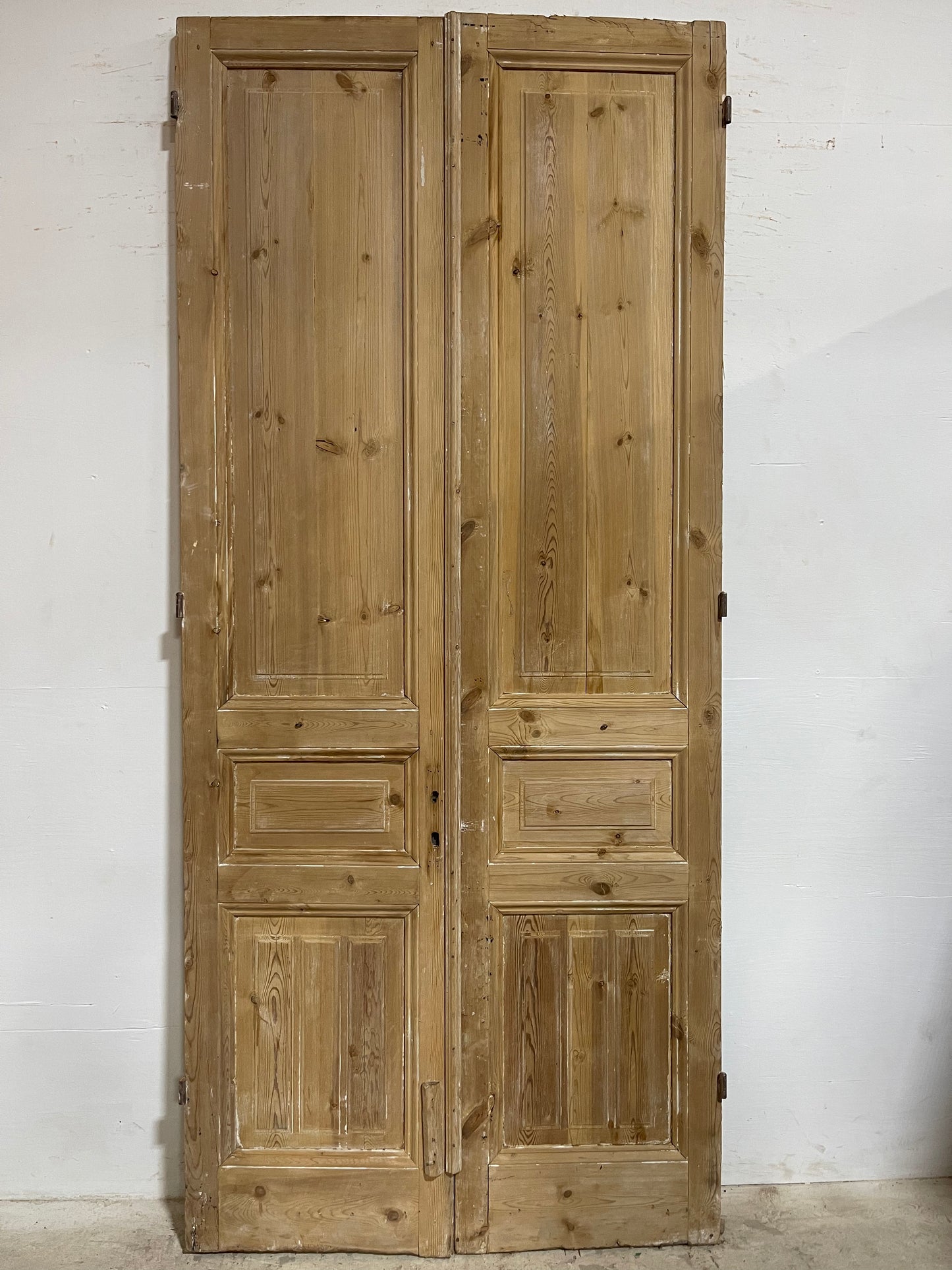 Antique French panel Doors (103.25x45.5) J644