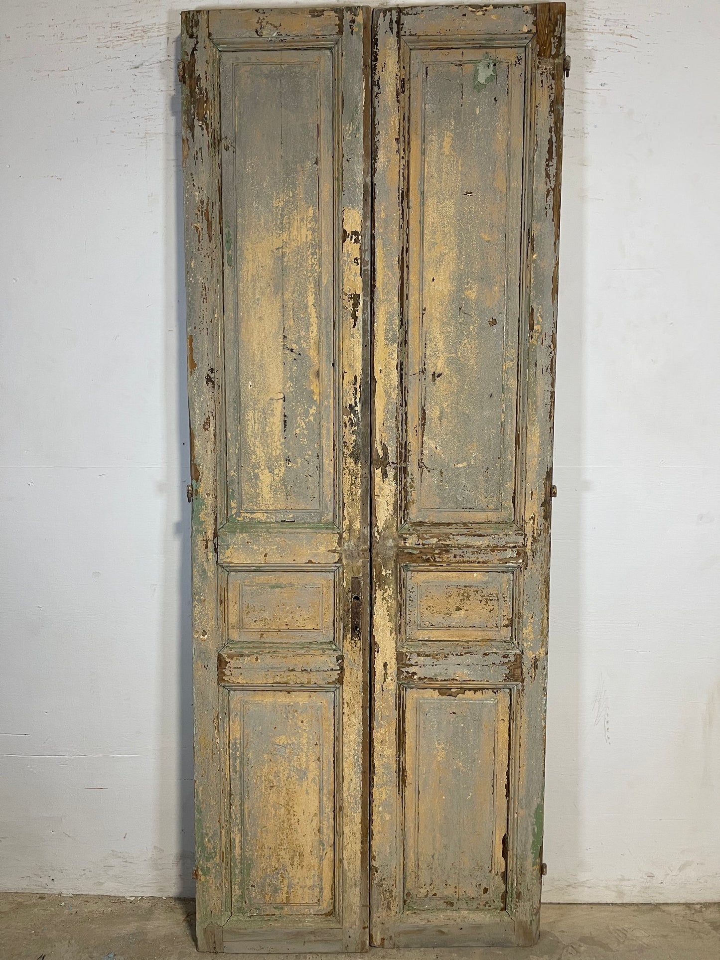 Antique French panel Doors (89.25x34.75) K652