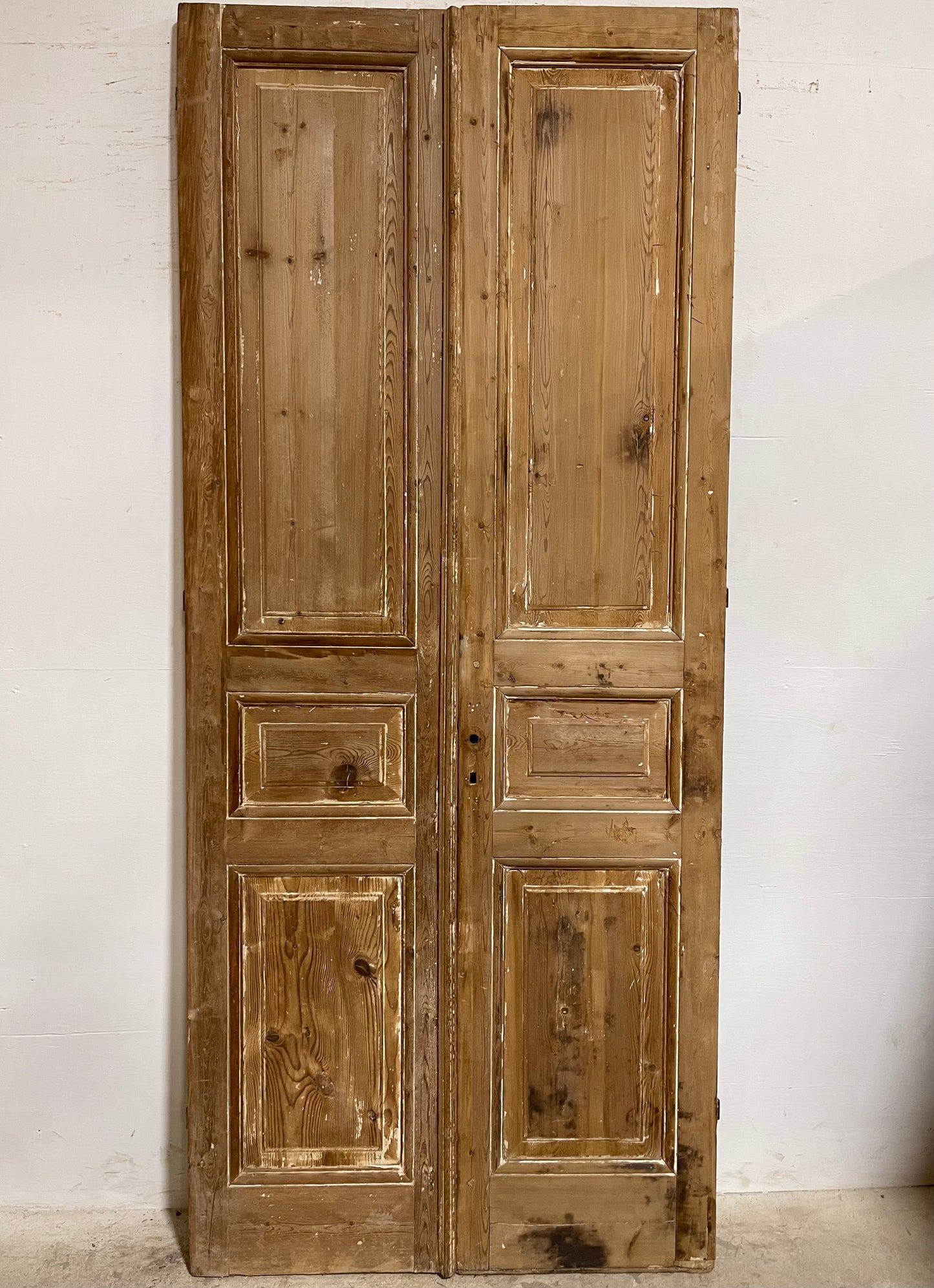 Antique French Panel Doors (98.25x41.5) J658