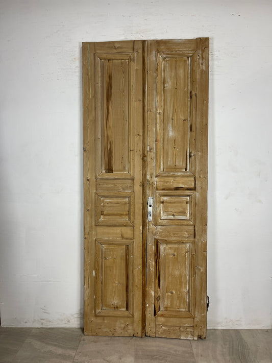 Antique French panel Doors  (97.5 x 41)  N145