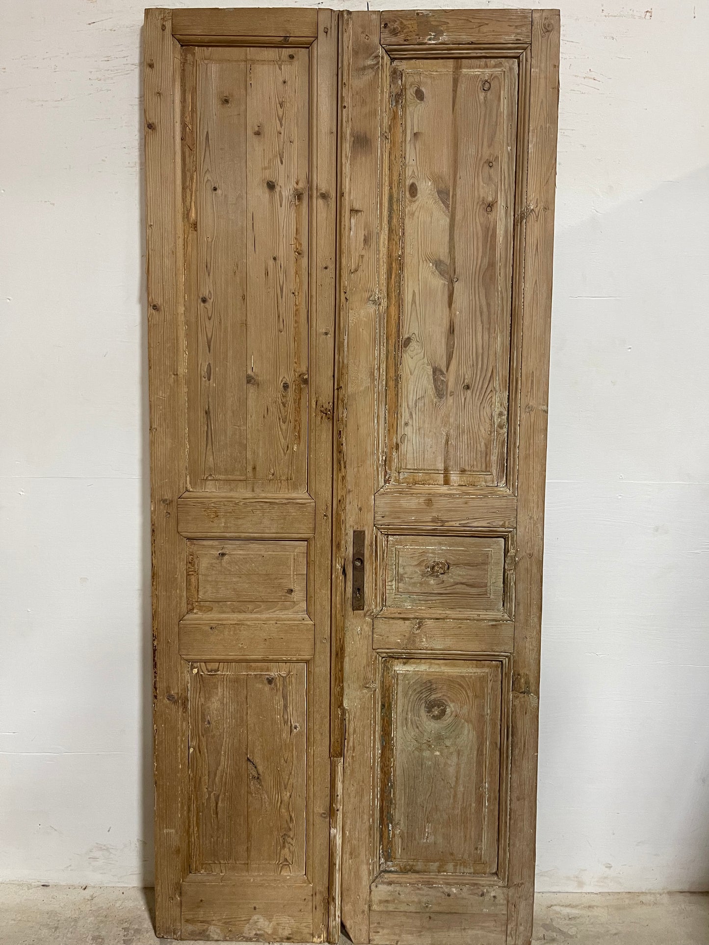 Antique French Panel Doors (98.25x39.5) J671