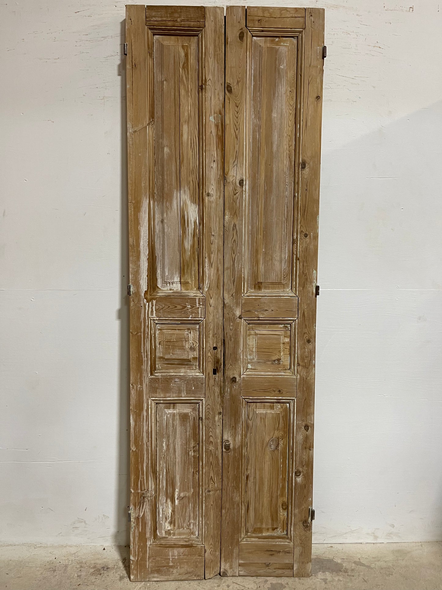 Antique French panel Doors (93.25x30.5) J655