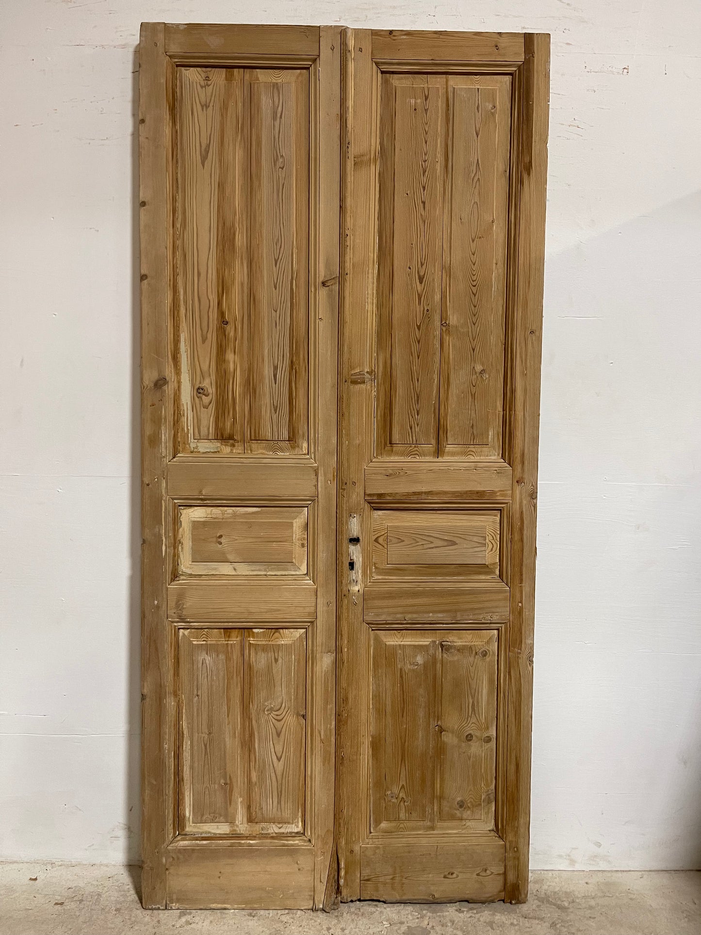 Antique French panel Doors (97x44.25) J637