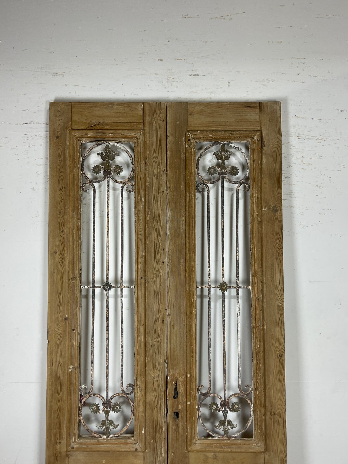 Antique French panel doors with Metal (101 x 43) P66