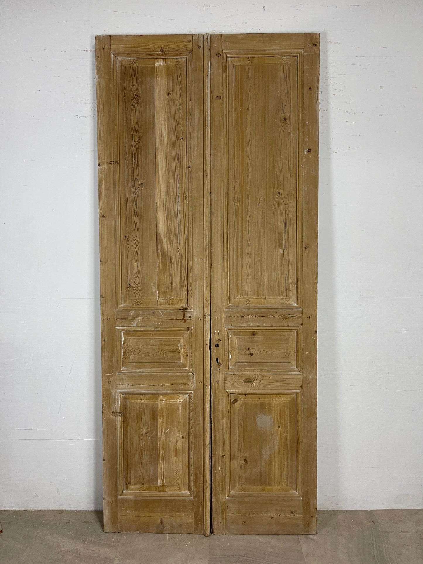 Antique French panel Doors (99.5x 42.25) O127