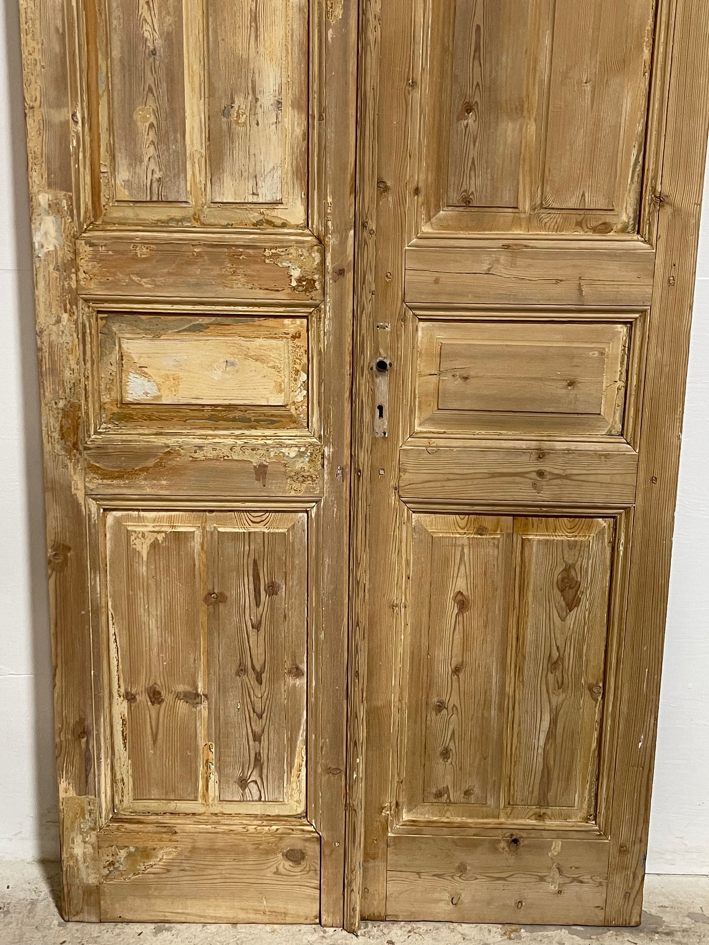 Antique French panel Doors (96.75x44.25) J652