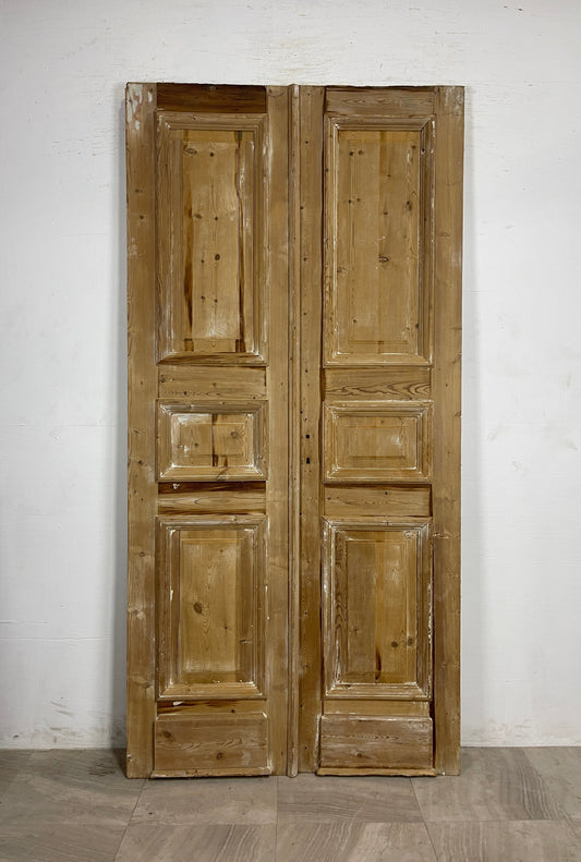 Antique French panel Doors  (94.75 x 46.25)   N141