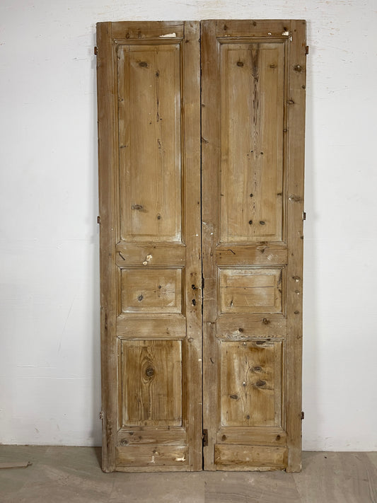 Antique French panel Doors (90.5x41.5) O189