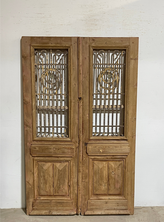 Antique French panel doors with Metal (87 x 55) P33