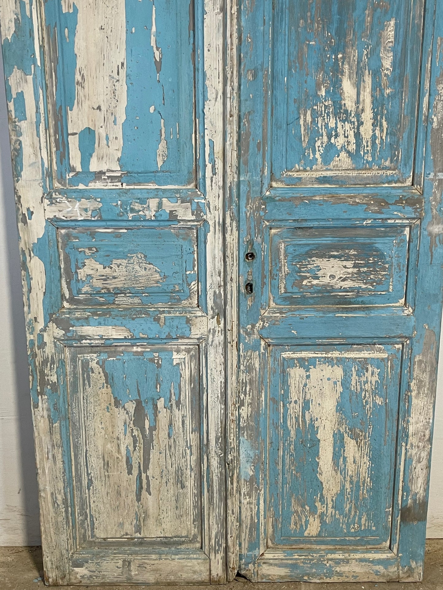 Antique French panel Doors (84.75 x 40.25) K646