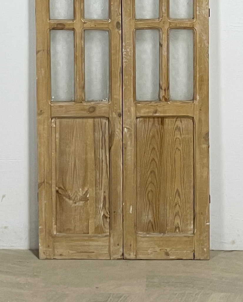Antique French panel doors with Glass (82x30.5) P109