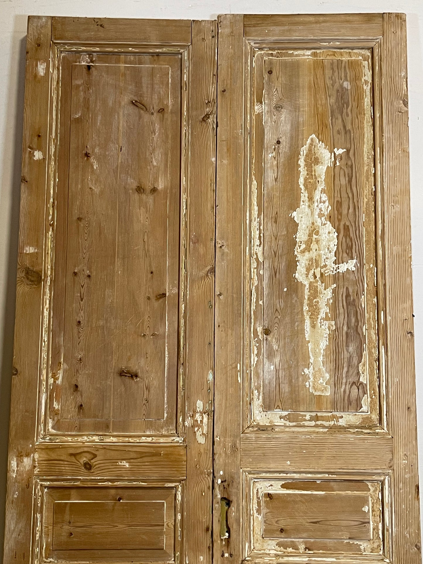 Antique French panel Doors (97.25x44.5) L264