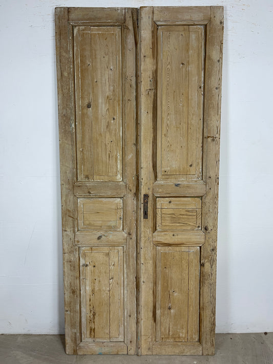 Antique French panel Doors (89x40.5) O205
