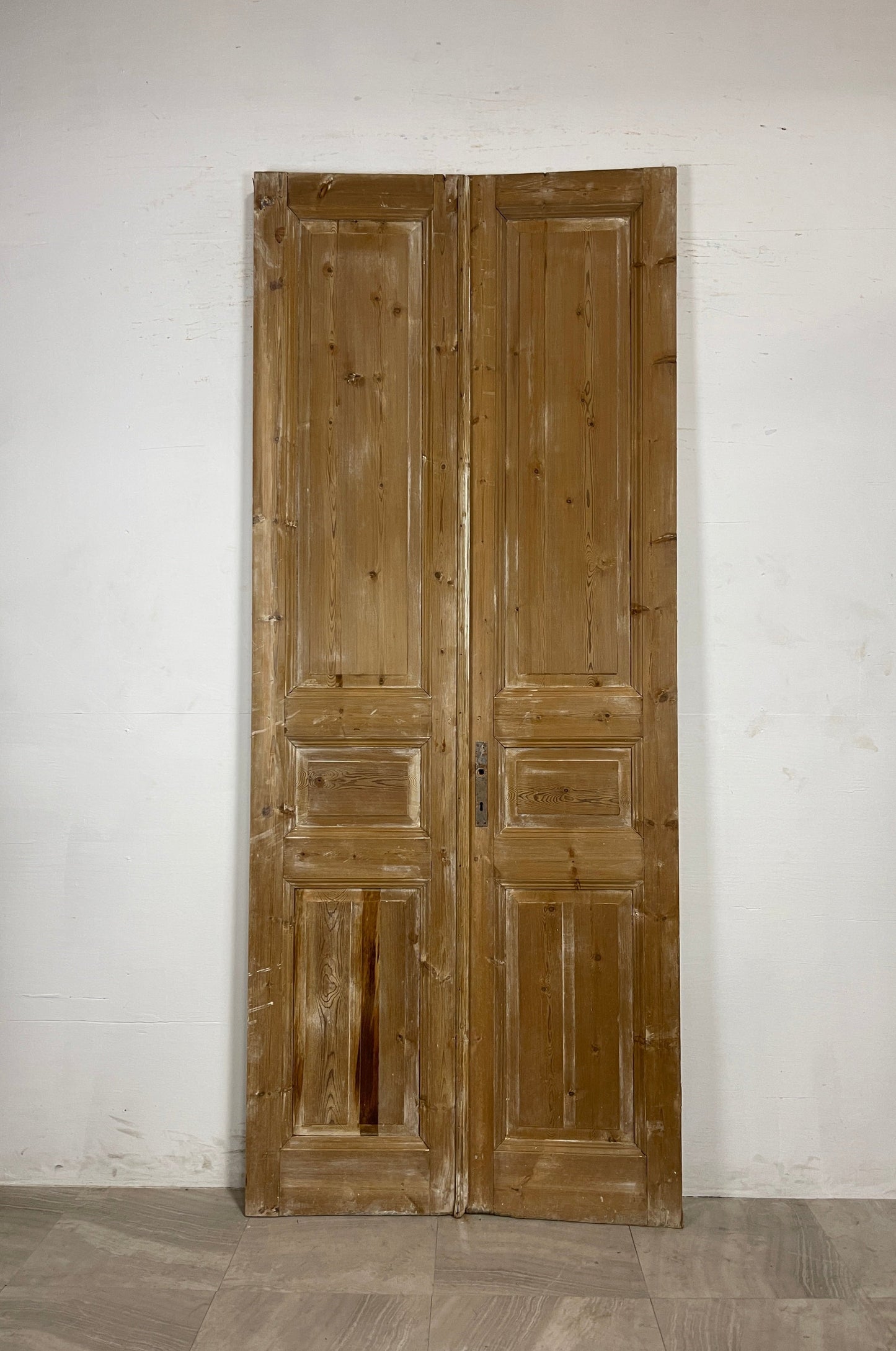Antique French panel Doors  (101.5 x 41)  N086
