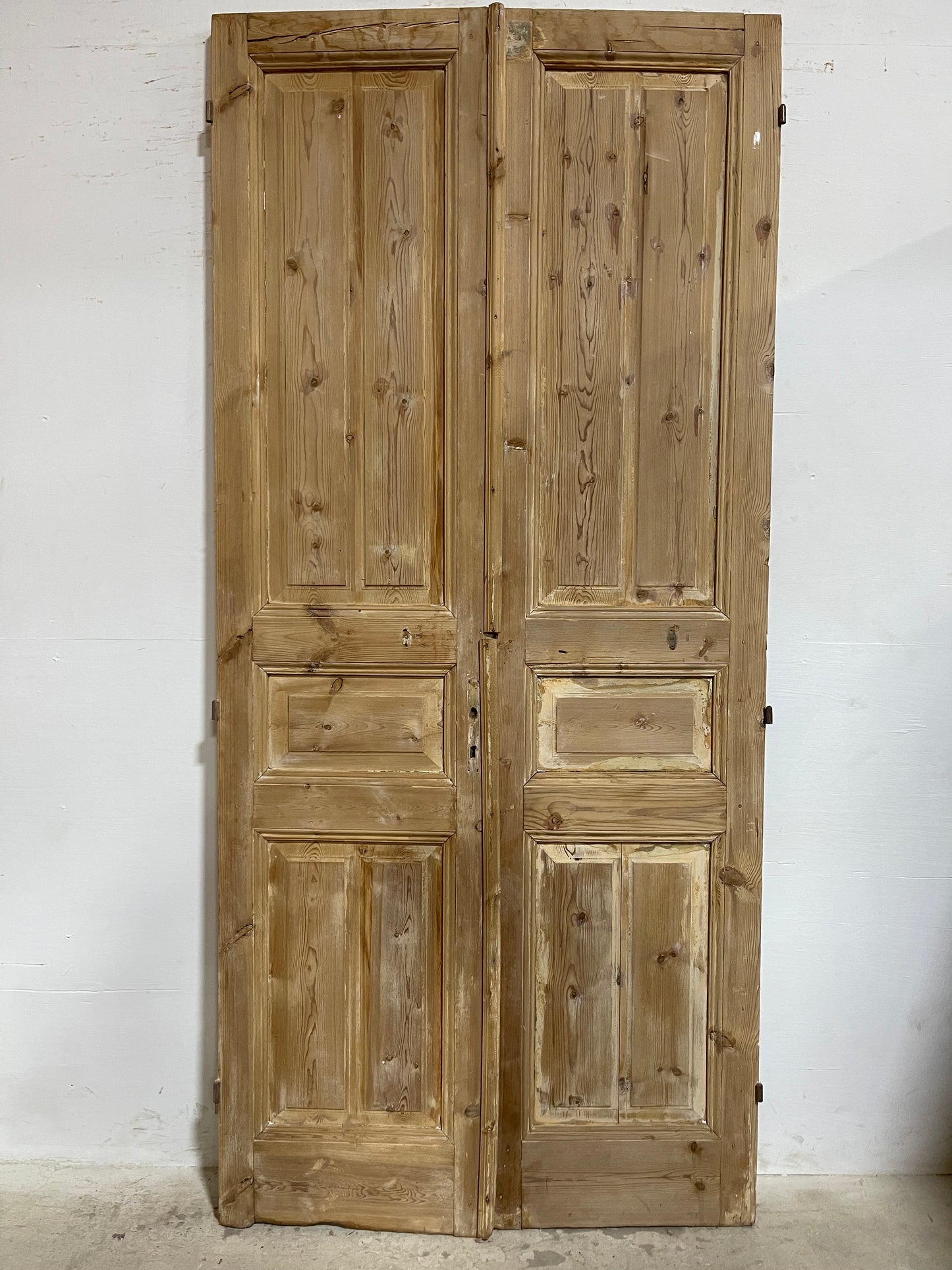 Antique French panel Doors (97.25x44.5) J647